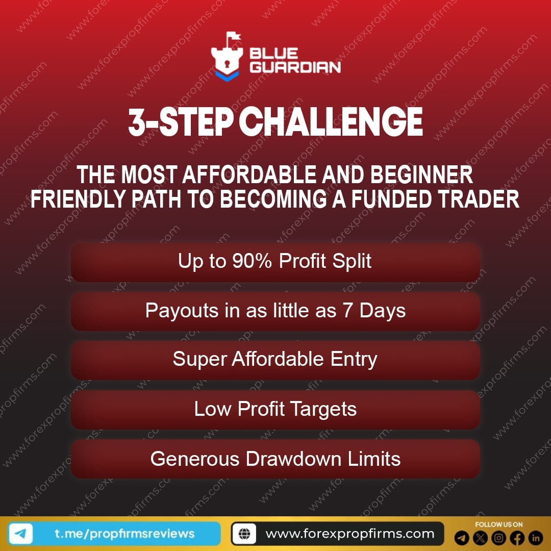 Blue Guardian Funding Path